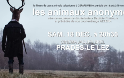 Ciné-échange // Les Animaux Anonymes // samedi 18/12 Cinéma Jacques Brel à Prades-le-Lez