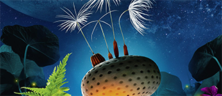 Cycle « Art & Images » : avant-première de Planètes de Momoko Seto — 24/02 à 20h, Diagonal